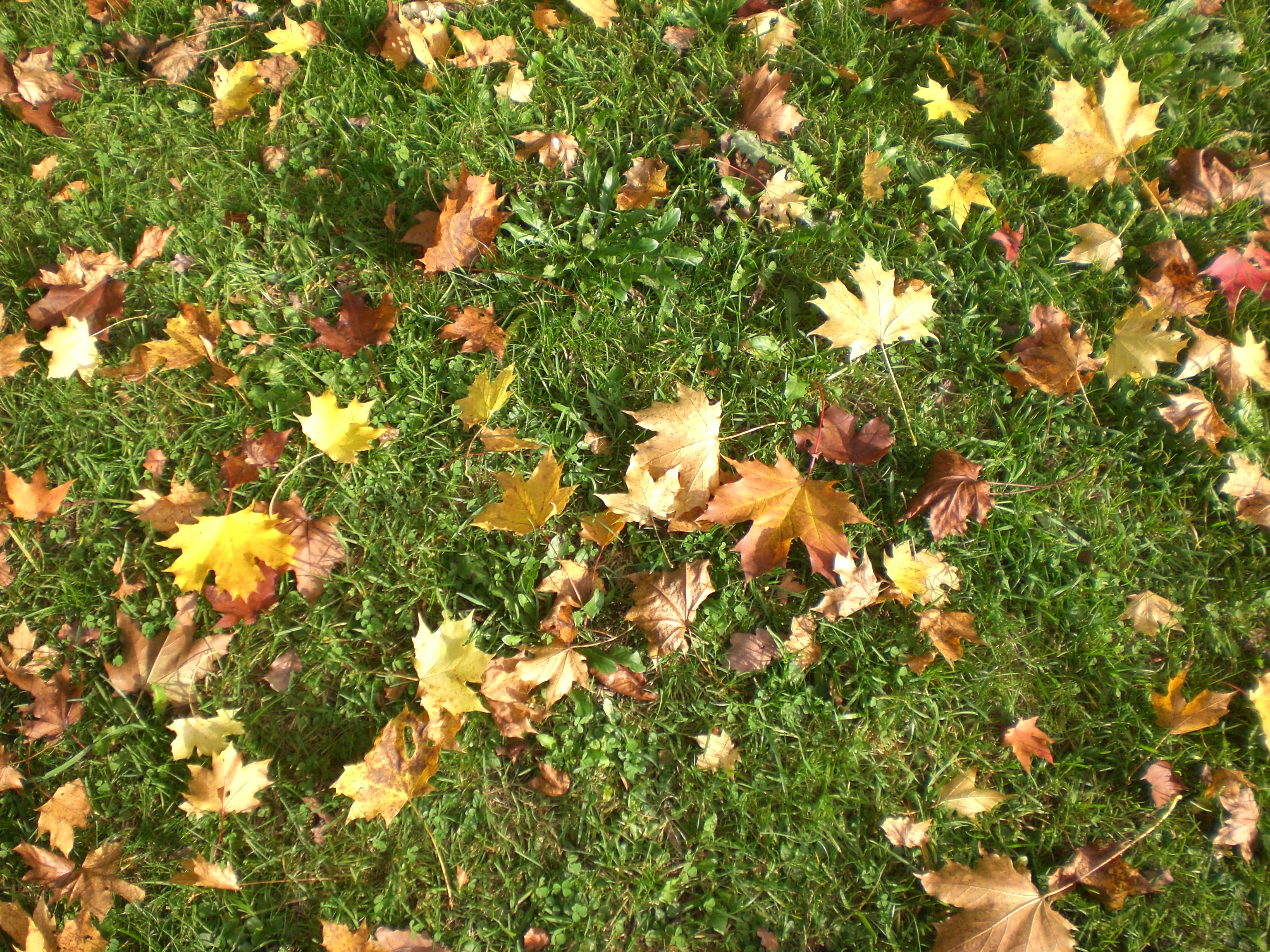 Blickwandel Logo 001