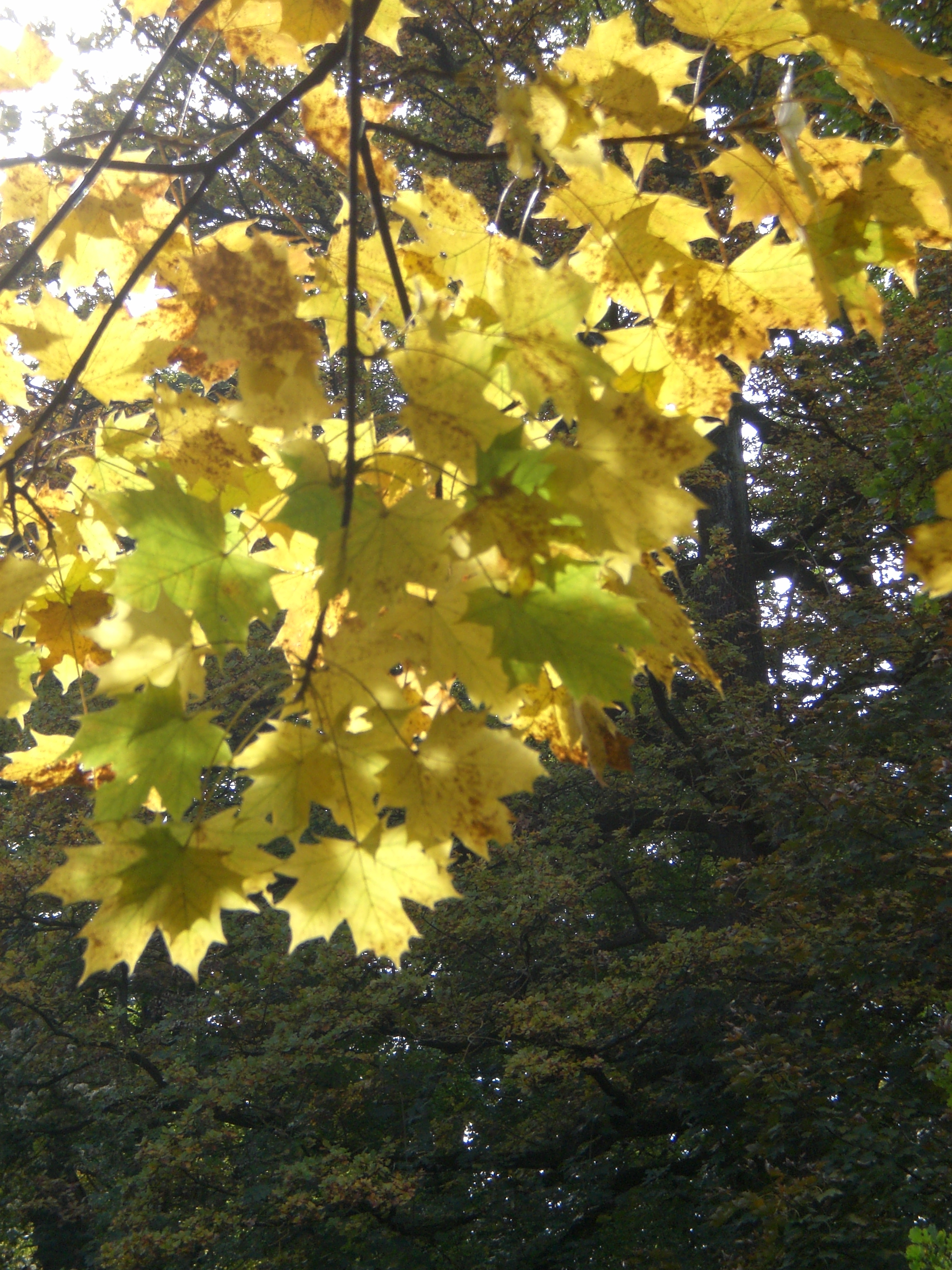 Blickwandel Logo 052